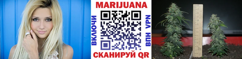 Купить наркотик аптеки Сунжа Псилоцибиновые грибы  Марихуана  Alpha-PVP  Меф мяу мяу  ГАШИШ 