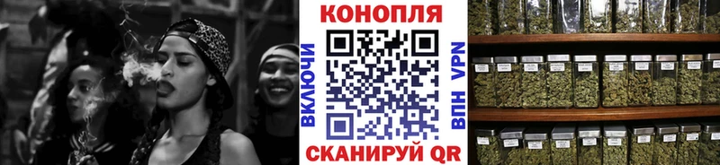 где можно купить   Сунжа  Каннабис индика 